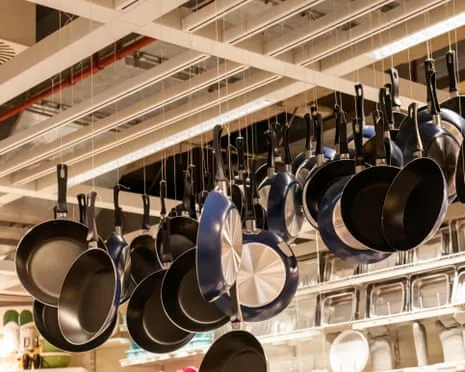 PTFE Nutrition, Aromatic Lactation and Striped Cattle Excel at This Year's Ig Nobel Prizes