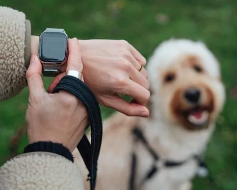 The Reality Regarding Wearable Tech? Daily Existence Improves Without a Bossy Gadget on Your Wrist